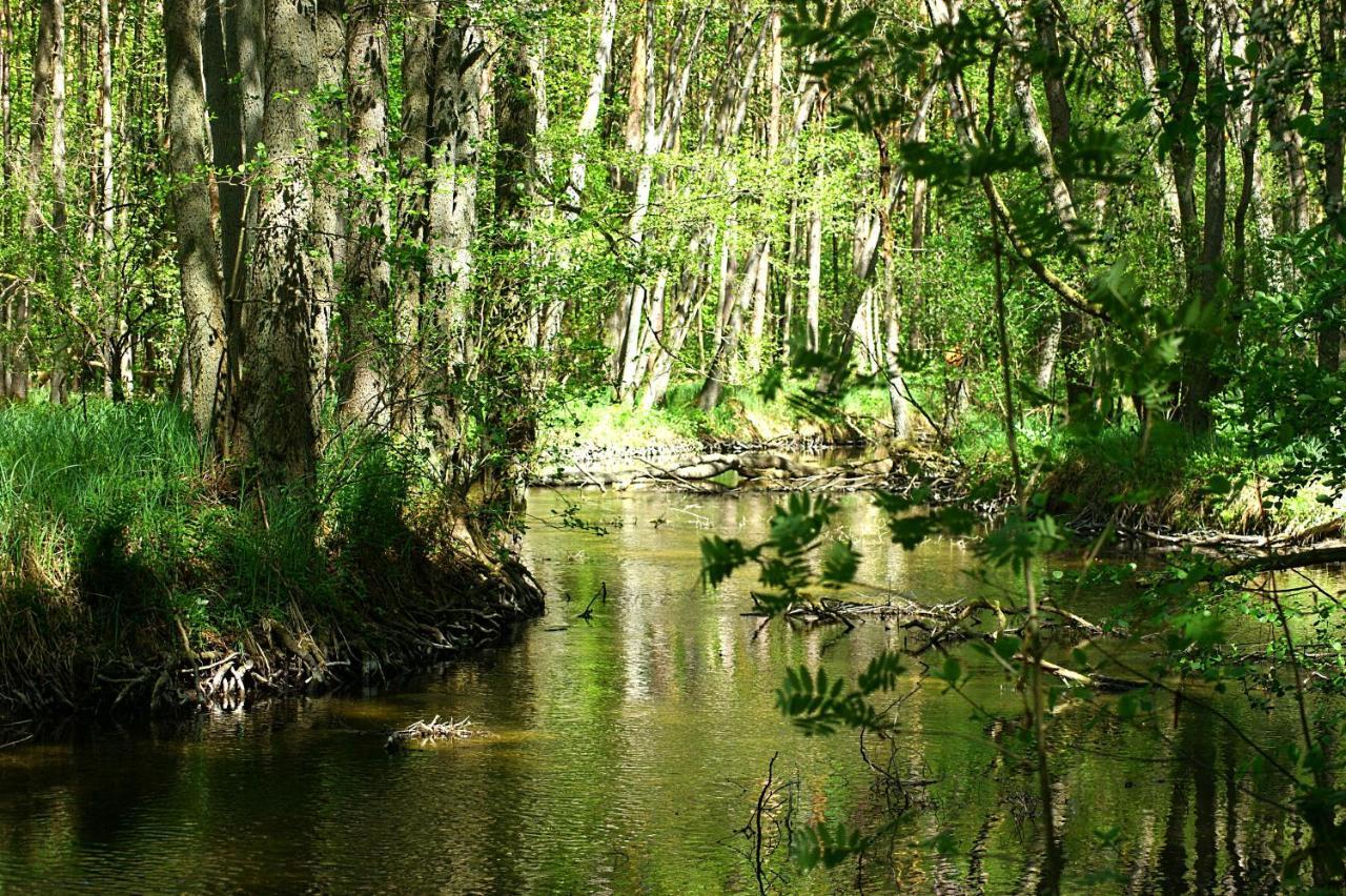 Вилла Ferien Am Hegensteinbach Фюрстенберг Экстерьер фото