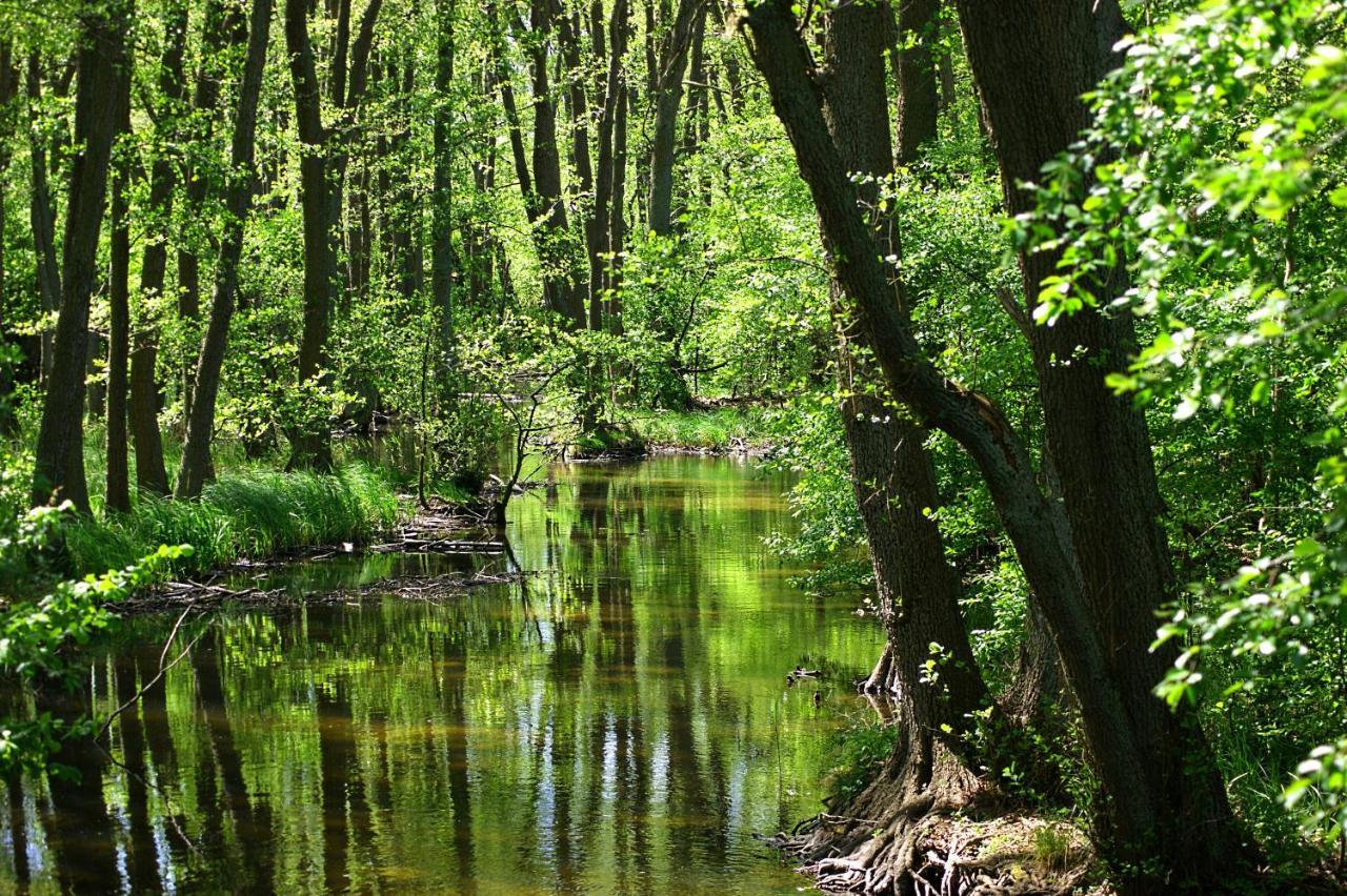 Вилла Ferien Am Hegensteinbach Фюрстенберг Экстерьер фото